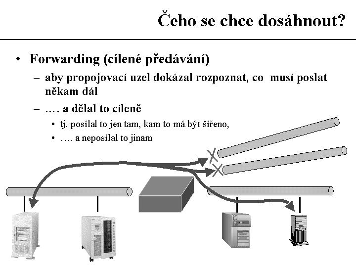 Slide c.  19