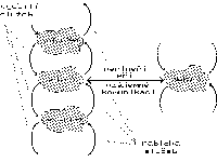 Obrzek 23.1.