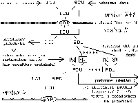 Obrzek 26.2.