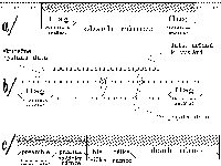 Obrzek 29.3.