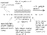 Obrzek 30.4.