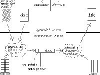 Obrzek 37.2.