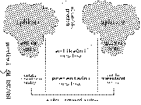 Obrzek 38.1.