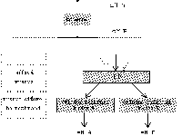 Obrzek 43.2.