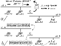 Obrzek 50.3.