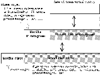 Obrzek 53.2.