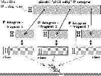 Obrzek 53.4.