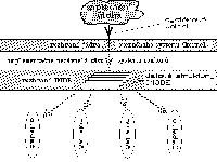 Obrzek 77.1.