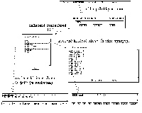 Obrzek 1.5.