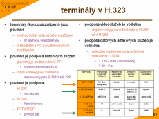 Slide c.  13